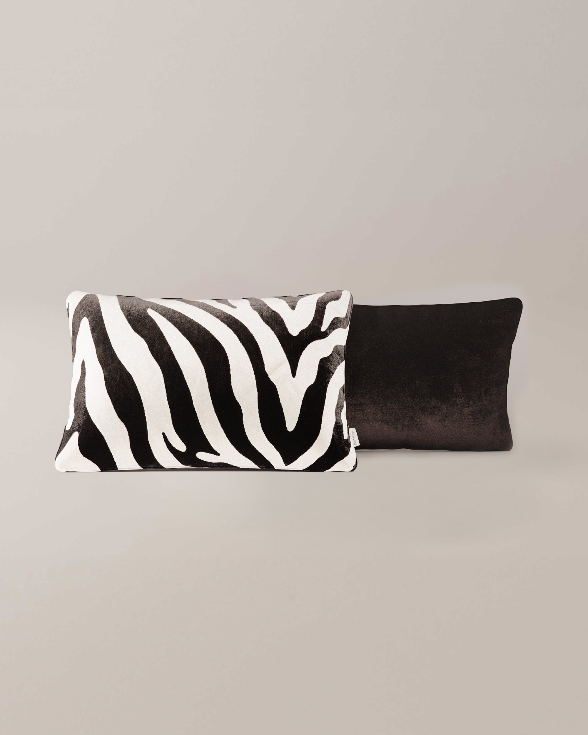 Zebra Large